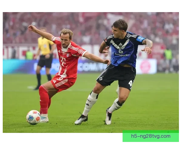 慕尼黑大雾致拜仁赴汉堡延误